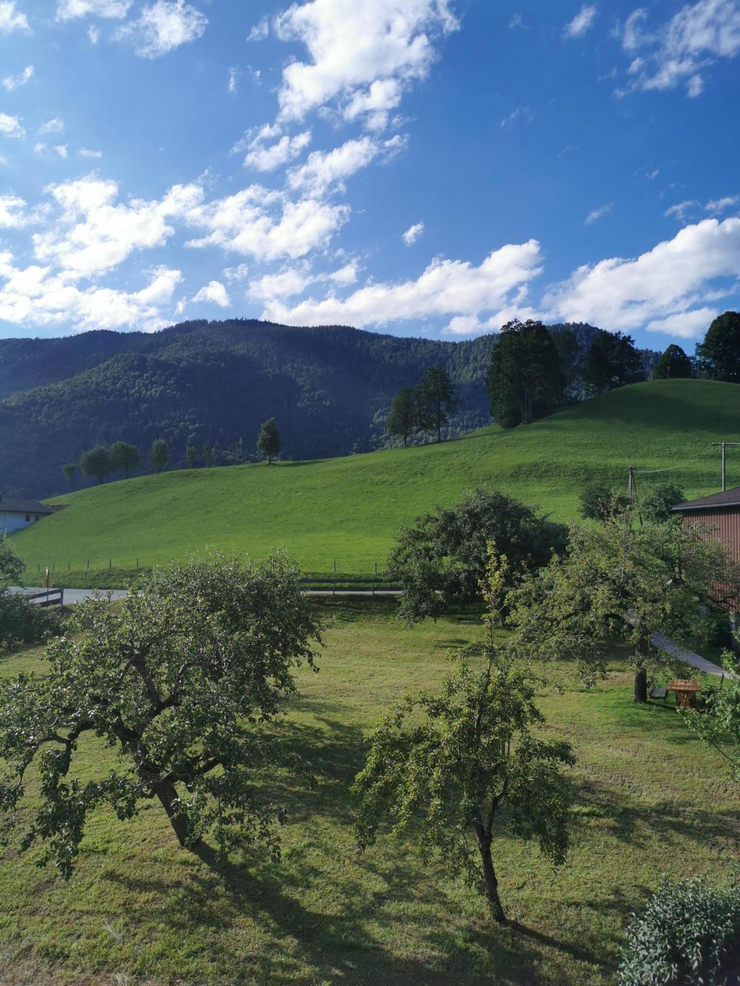 Landidyll Am Тирзе Экстерьер фото